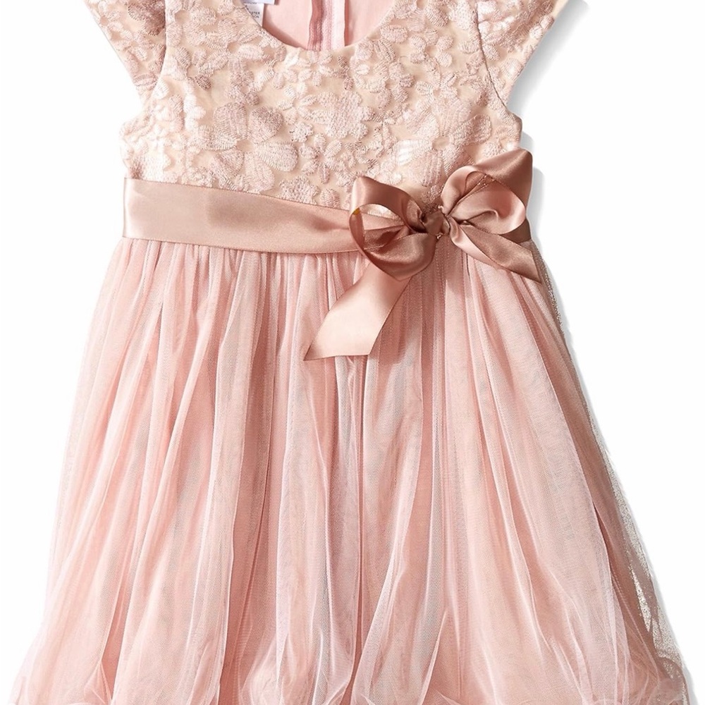 Iris & Ivy Pink Lace and Tulle Dress with Satin Bow